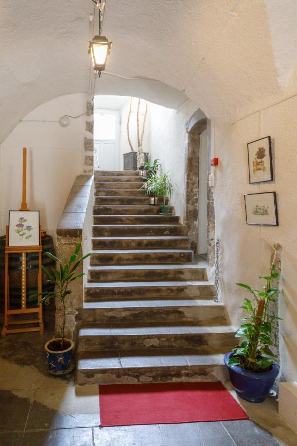 Ermitage Saint Vincent B&B Vieille-Brioude Экстерьер фото